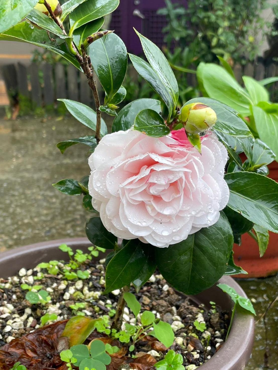 Nantou Fruit House Apartamento Renai Exterior foto